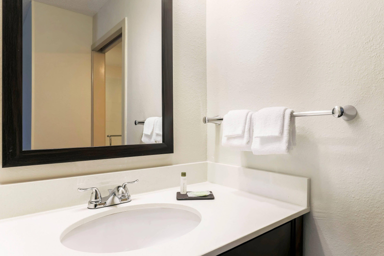 Bathroom 5, Sleep Inn Midway Airport Bedford Park, Cook