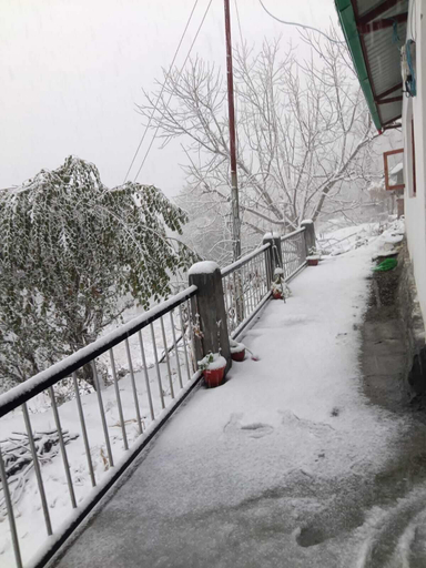 Property grounds 2, Kabila King Resort, Dehradun