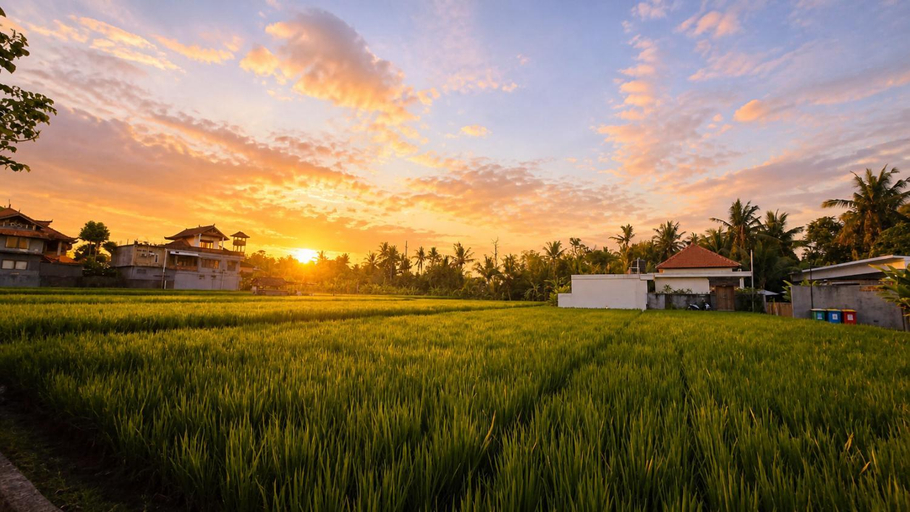 Others 4, meininghouse, Gianyar