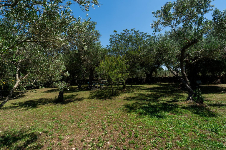 Others 4, Villa Irma with Private Pool by Wonderful Italy, Bari