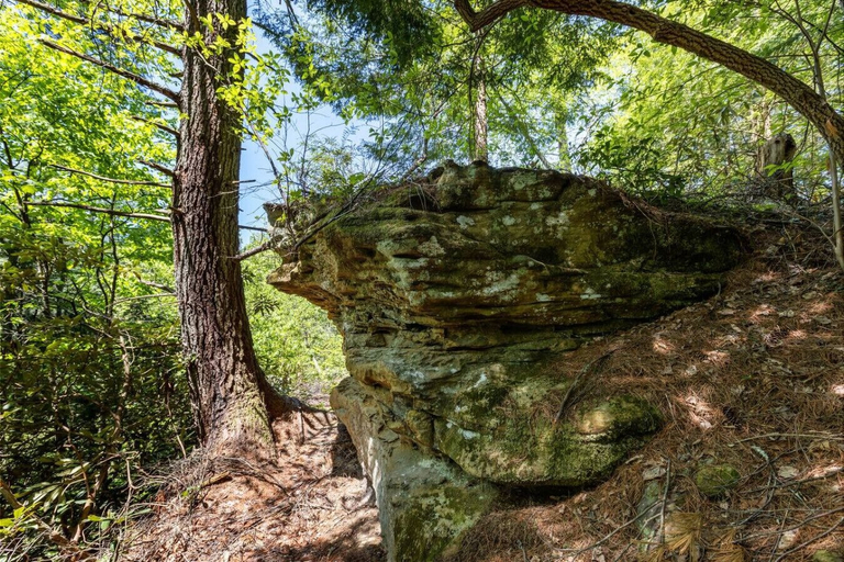 Interior 5, Wifi - Pet Friendly - Secluded Knotty By Nature, Wolfe