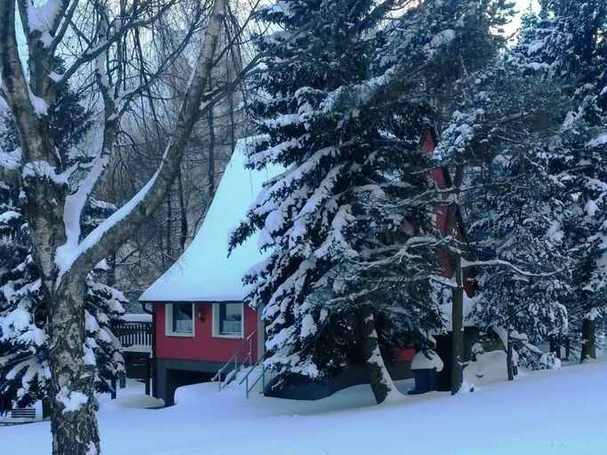 Others 1, House in Bohemian Near Ski Slope, Chomutov