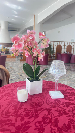 Food & Drinks 4, Hotel Splendid Toscolano Maderno, Brescia