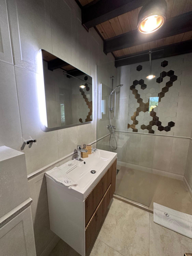 Bathroom 3, Domeniul Mortasifu, Vernesti