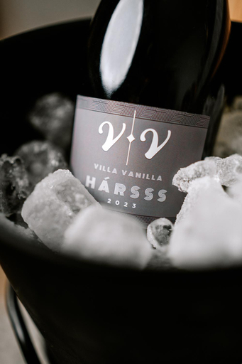 Food & Drinks 3, Boutique Villa Vanilla, Balatonfüred