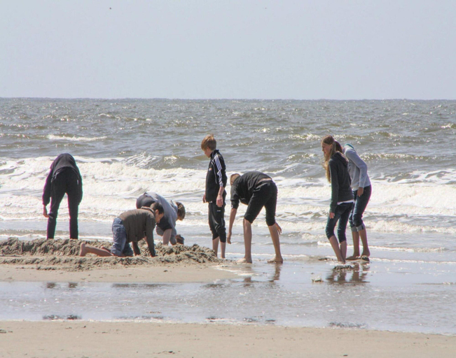 Others 4, Apartment, St. Peter-ording, Nordfriesland