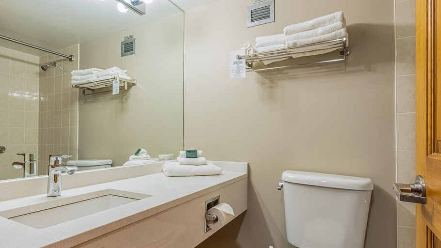 Bathroom, Cahilty #303 Home, Thompson-Nicola