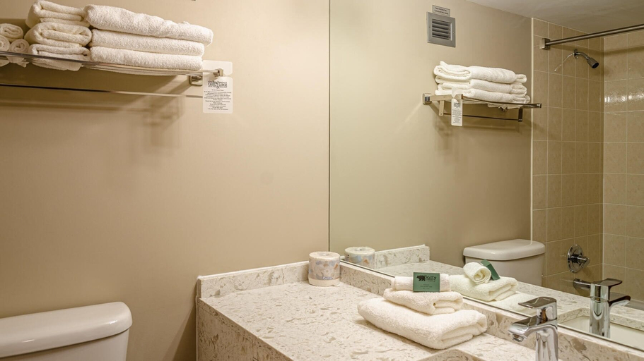 Bathroom, Cahilty #313 Home, Thompson-Nicola