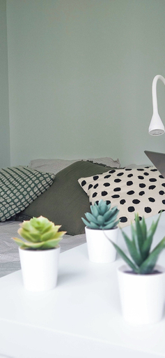 Room 2, Cozy Room in a Friendly Shared Flat - Lyon 8th, Rhône