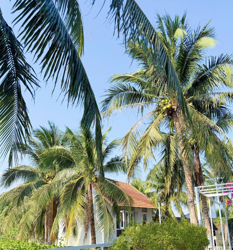 Others 5, Ngoc Bich 2 Hotel, Phan Rang-Tháp Chàm