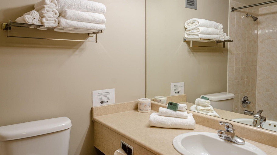 Bathroom, Cahilty #254 Home, Thompson-Nicola