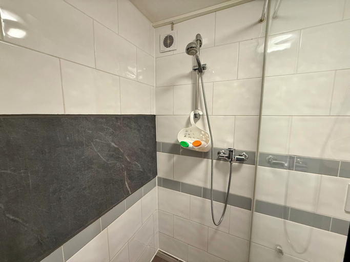 Bathroom 3, DownTown Apartments, Interlaken