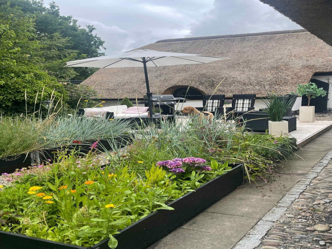 Primary image, 4 Star Holiday Home in Ulfborg, Ringkøbing-Skjern