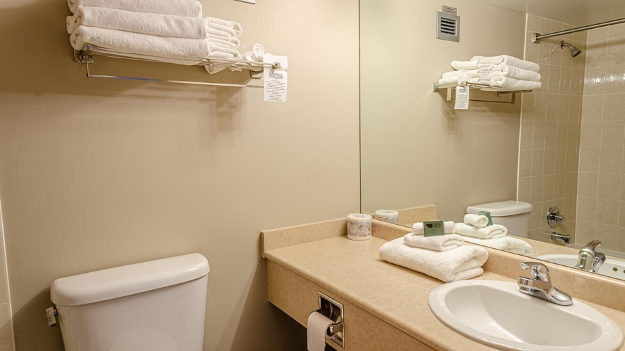 Bathroom, Cahilty #304 Home, Thompson-Nicola