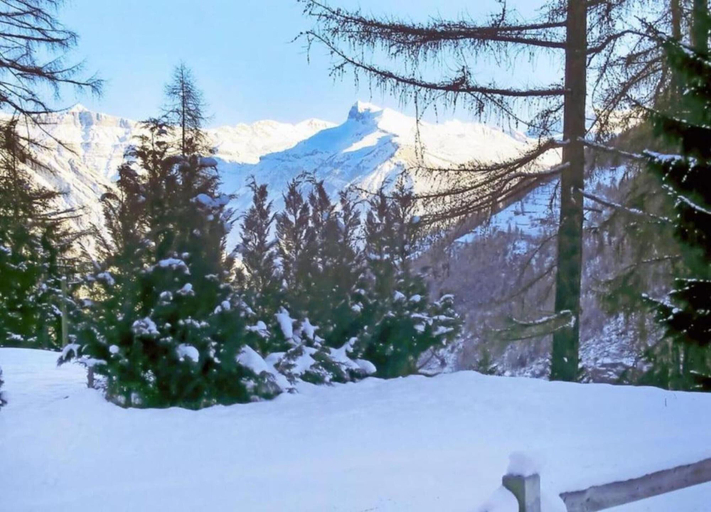 View from property 2, Cosy Apartment Near ski Slope, Conthey