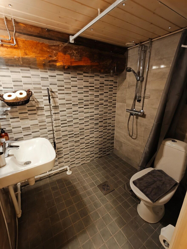 Bathroom 3, LAURI Historical Log House Manor, Lapland