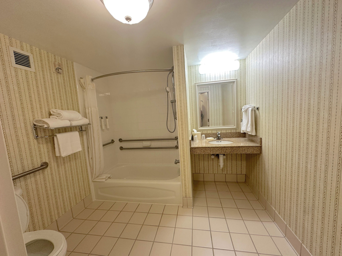 Bathroom 4, Arnot Grand Hotel & Suites, Chemung
