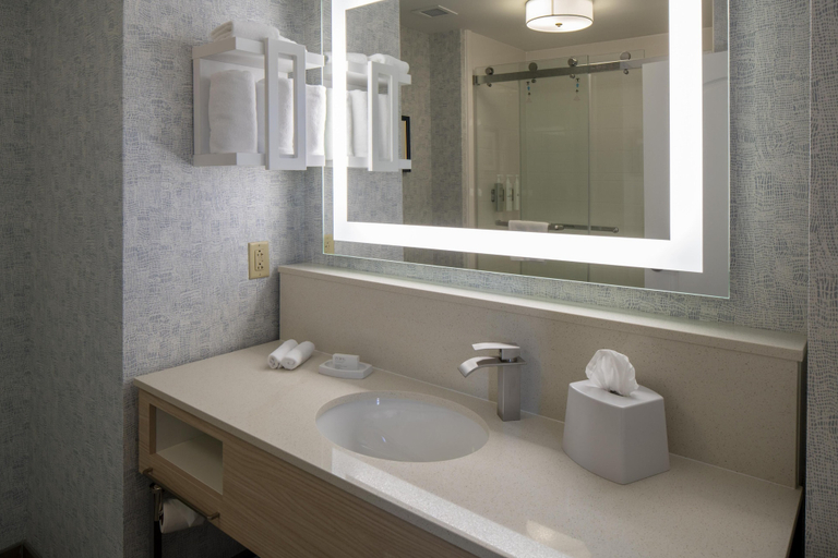 Bathroom 4, Hampton Inn & Suites Montgomery-Downtown, Montgomery