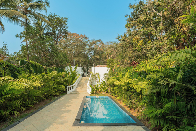 Pool 2, ELIVAAS Maison 10 Luxe 4 BHK Villa, North Goa