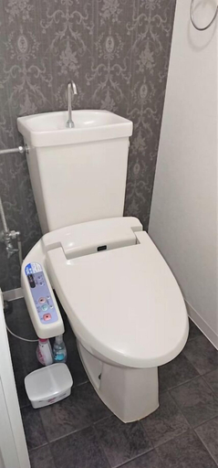 Bathroom 3, Shin-Osaka GRAND, Osaka