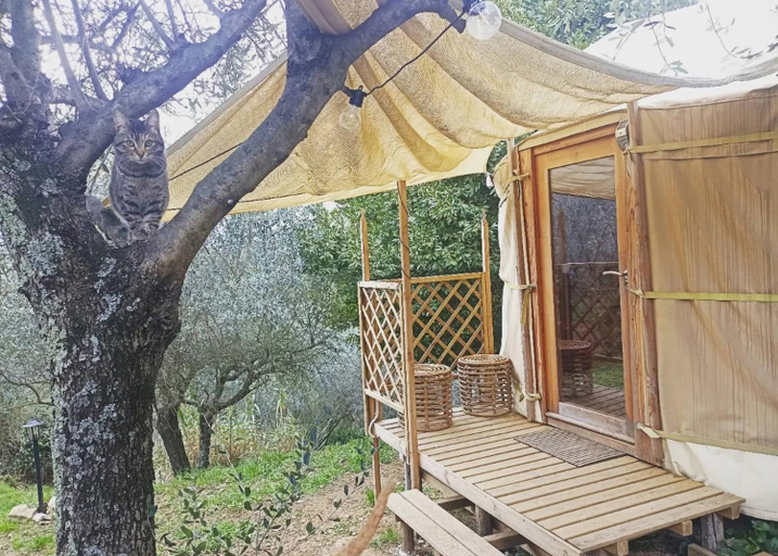 4, A yurt among olive trees and the sea, Genova