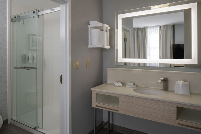 Bathroom 4, Hampton Inn & Suites Montgomery-Downtown, Montgomery