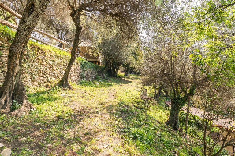 5, A yurt among olive trees and the sea, Genova