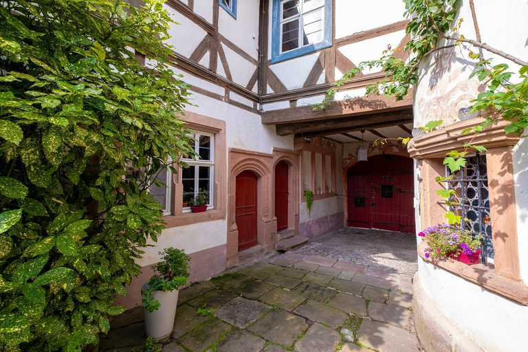 Others 3, Maison Kobold XVIe siecle, Bas-Rhin
