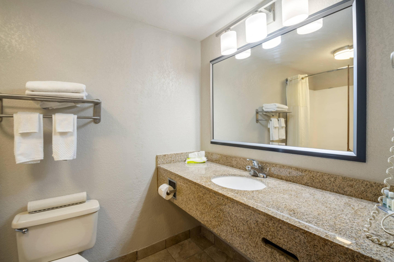Bathroom 5, Quality Suites Hickory South, Catawba