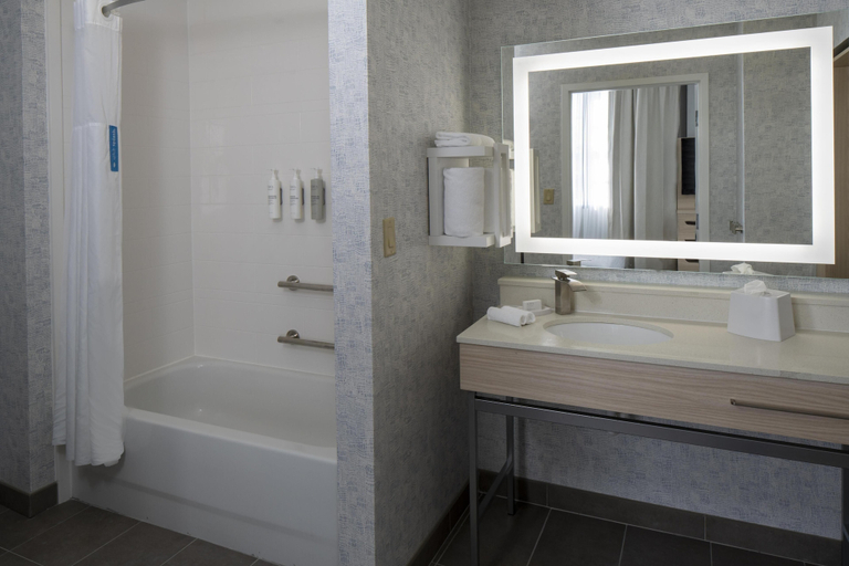 Bathroom 4, Hampton Inn & Suites Montgomery-Downtown, Montgomery