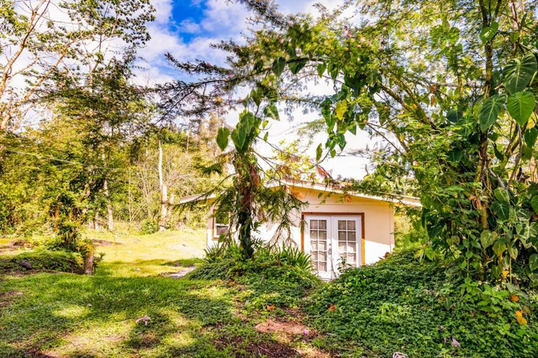 Exterior & Views, Puni Mauka A 31 plus day rental, Hawaii