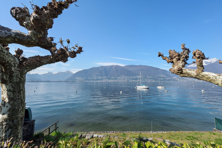 Exterior 4, Garden on the Lake 1 in Vira Gambarogno, Locarno