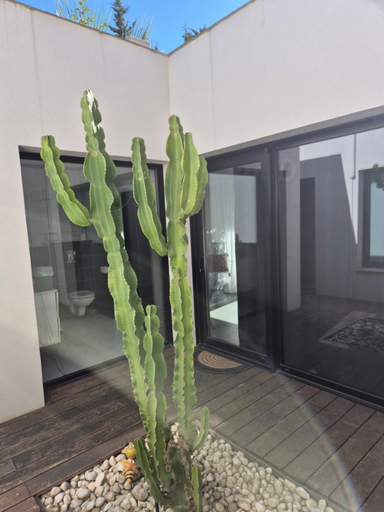 Exterior & Views 2, La Villa Blanche, Var