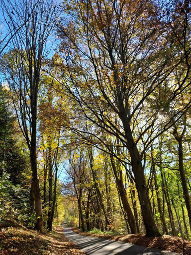 Others 5, Ferienwohnungen Ambiente-Schmidt, Hochsauerlandkreis