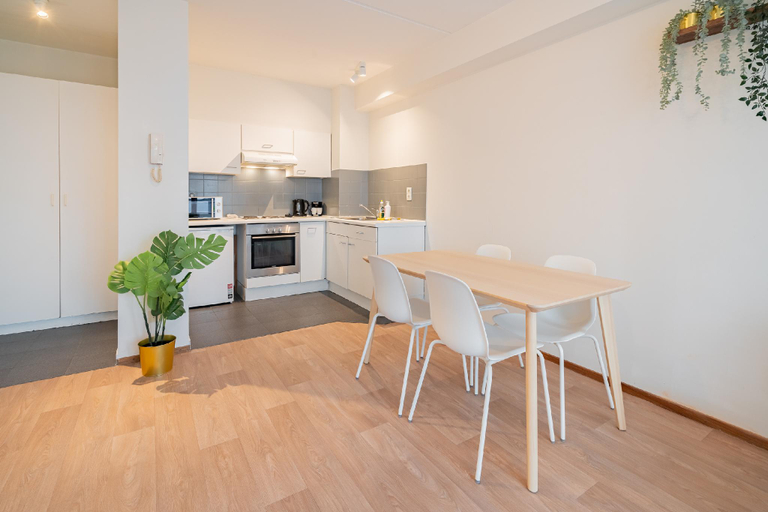Kitchen 4, Classic 1 bedroom apartment in Antwerp, Antwerpen