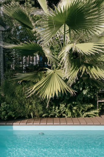 Sport & Beauty 2, Kamakura Private Pool & Sauna Villa - Casablanca Pool House, Kamakura