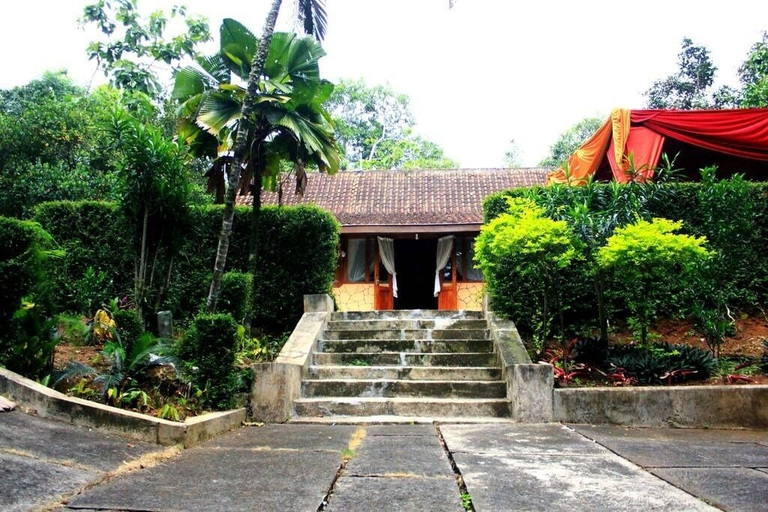 Property grounds, Joglo Mbah Guru Homestay, Semarang
