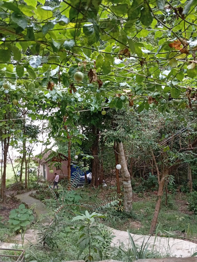 Others 5, Soundgarden Kohrong, Sihanoukville