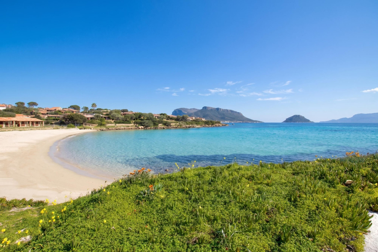 Others 3, Villetta Franca 100m From The Beach, Olbia-Tempio