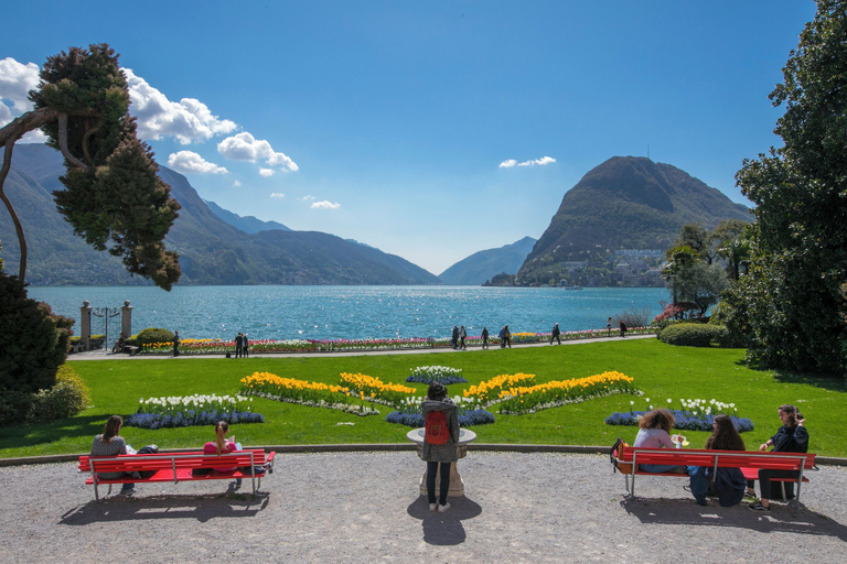 Others 4, Franklin House, Lugano