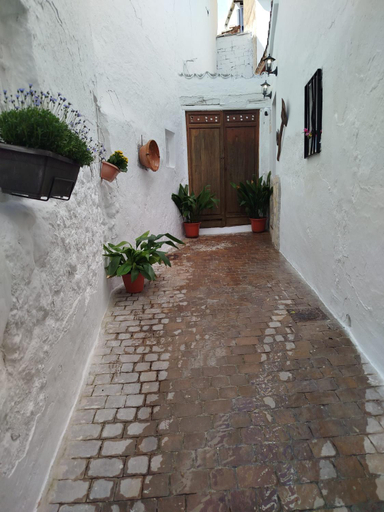 Public Area, Casa del agua, Jaén