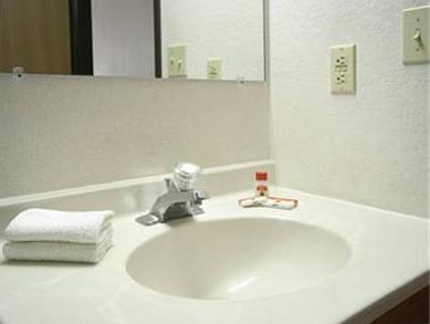 Bathroom, Coldwater Inn & Suites near I 69, Branch