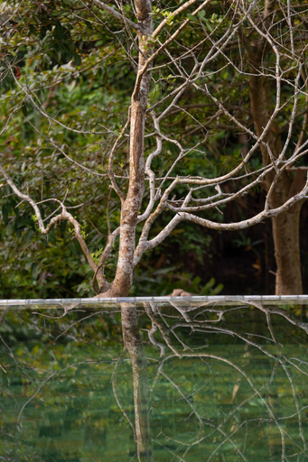 2, Cascara Weligama, Weligama