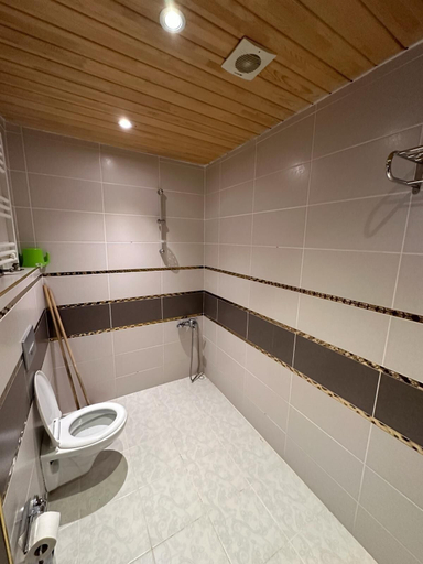 Bathroom 2, Falay Pansiyon, Çaykara