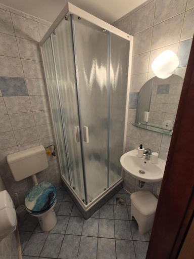 Bathroom 3, Guesthouse Koprivec, Ljubljana