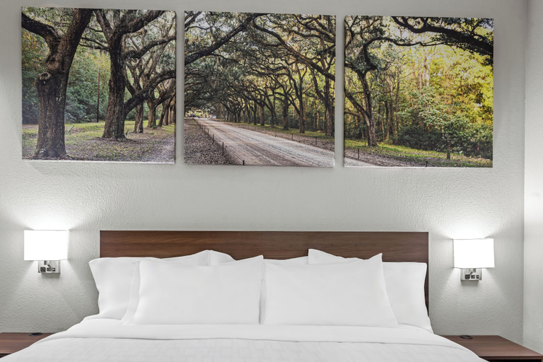 Bedroom 4, Jesup Inn & Suites, Wayne