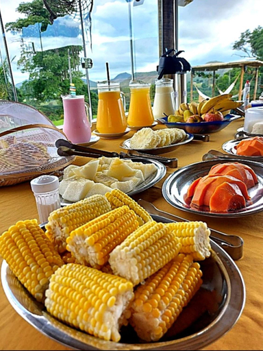 Food & Drinks