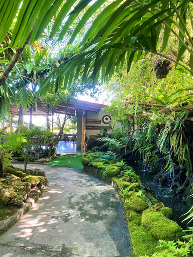 Others 5, บ้านสวนภูรจิตร Baansuanphurajit, San Sai