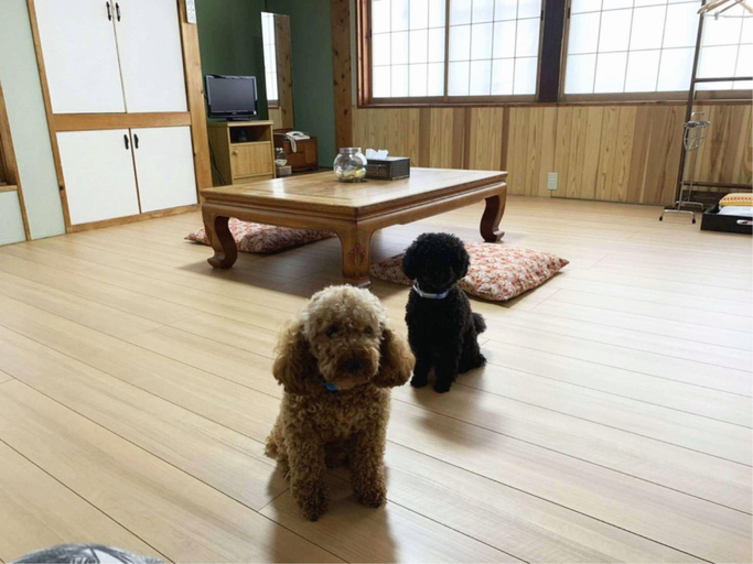 Bedroom 3, Oyado Yunosato, Shirakawa Village