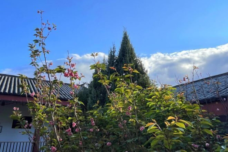 Exterior & Views 2, Conifer Lishui Sunlight Hotel, Lijiang